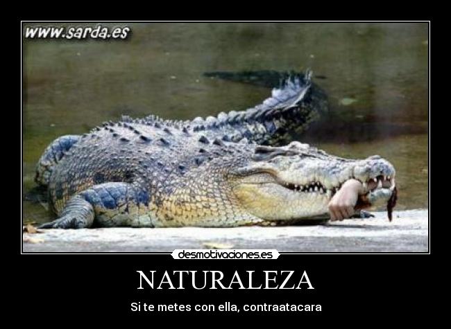 NATURALEZA - Si te metes con ella, contraatacara