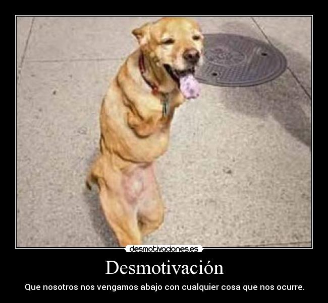 Desmotivación -