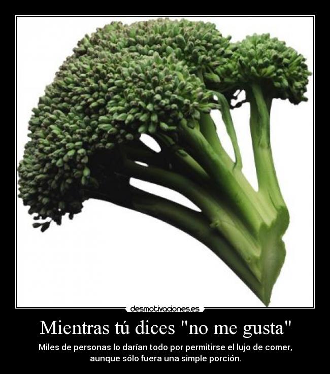 Mientras tú dices no me gusta -