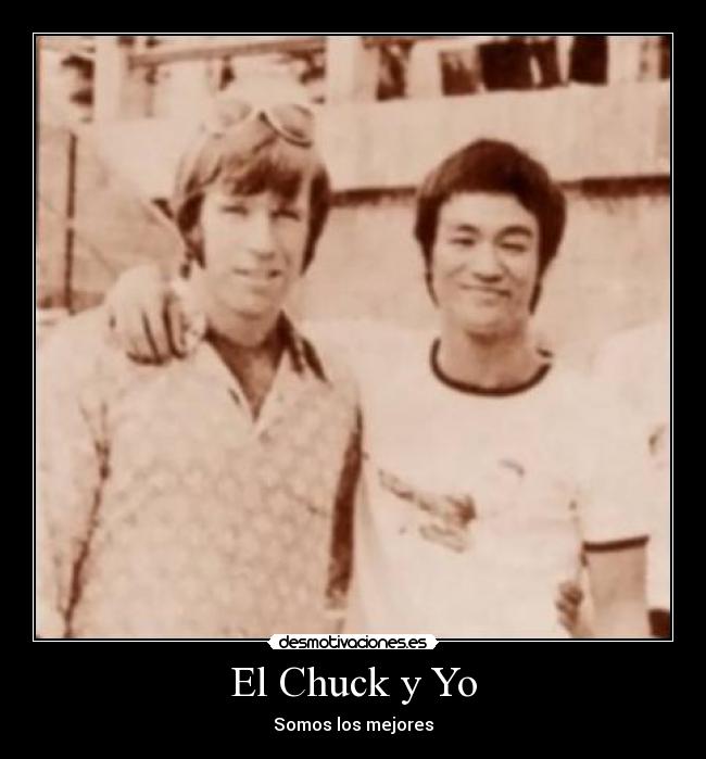 carteles chuck norris desmotivaciones