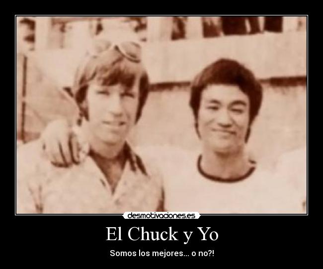 carteles chuck norris bruce lee desmotivaciones