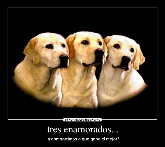 tres enamorados... - la compartimos o que gane el mejor?