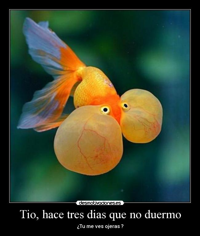 Tio, hace tres dias que no duermo -