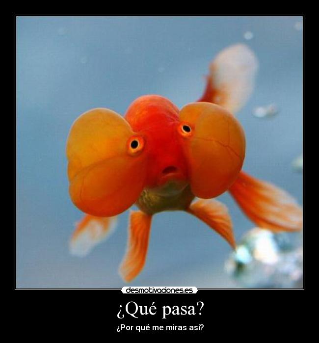 ¿Qué pasa? -