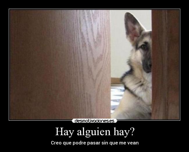 Hay alguien hay? - Creo que podre pasar sin que me vean