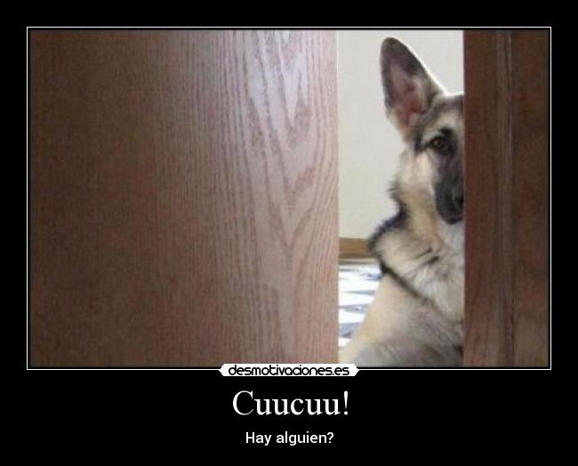 Cuucuu! - Hay alguien?