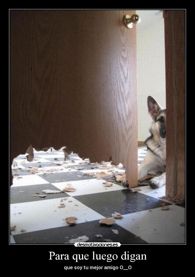 Para que luego digan - 