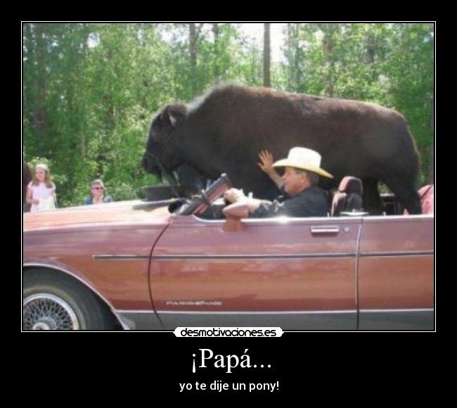 ¡Papá... - yo te dije un pony!