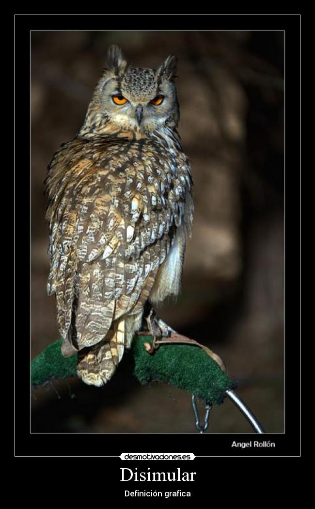 Disimular - Definición grafica