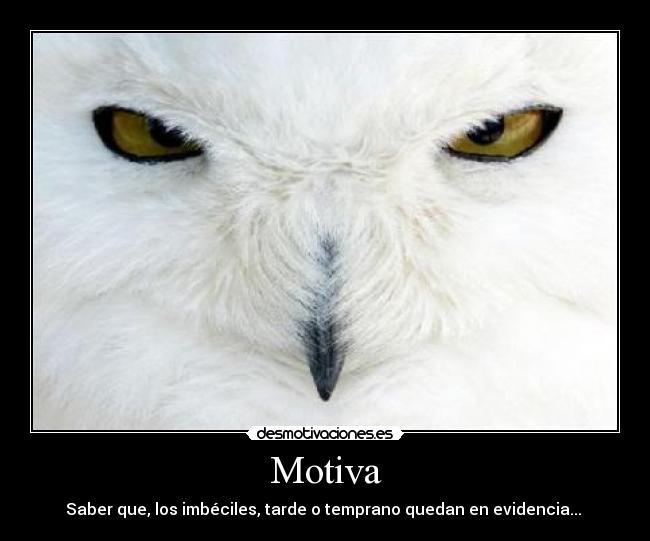 Motiva - Saber que, los imbéciles, tarde o temprano quedan en evidencia...