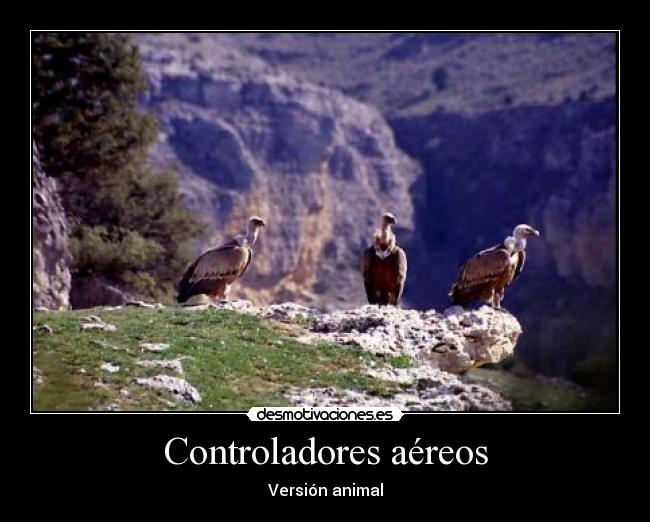 Controladores aéreos - 