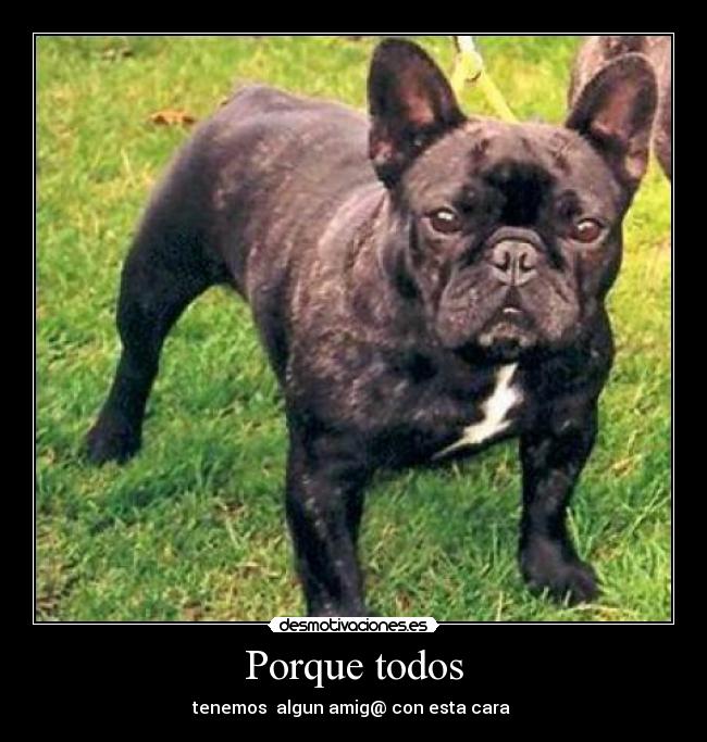 Porque todos - tenemos  algun amig@ con esta cara 