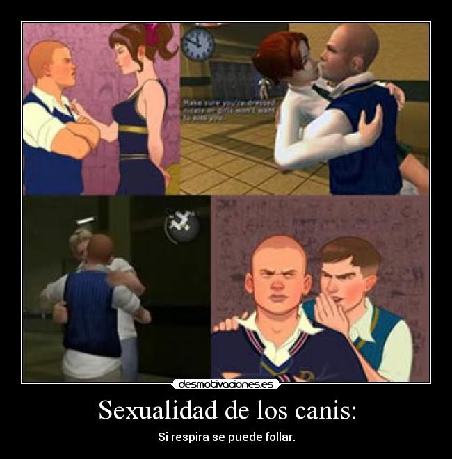 Sexualidad de los canis: - 