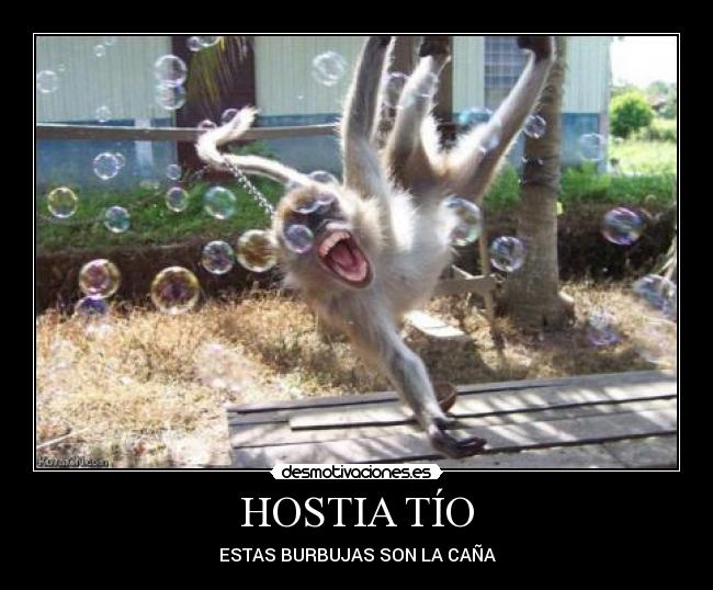 HOSTIA TÍO - ESTAS BURBUJAS SON LA CAÑA