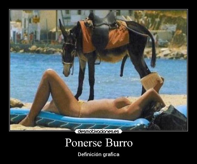 Ponerse Burro -