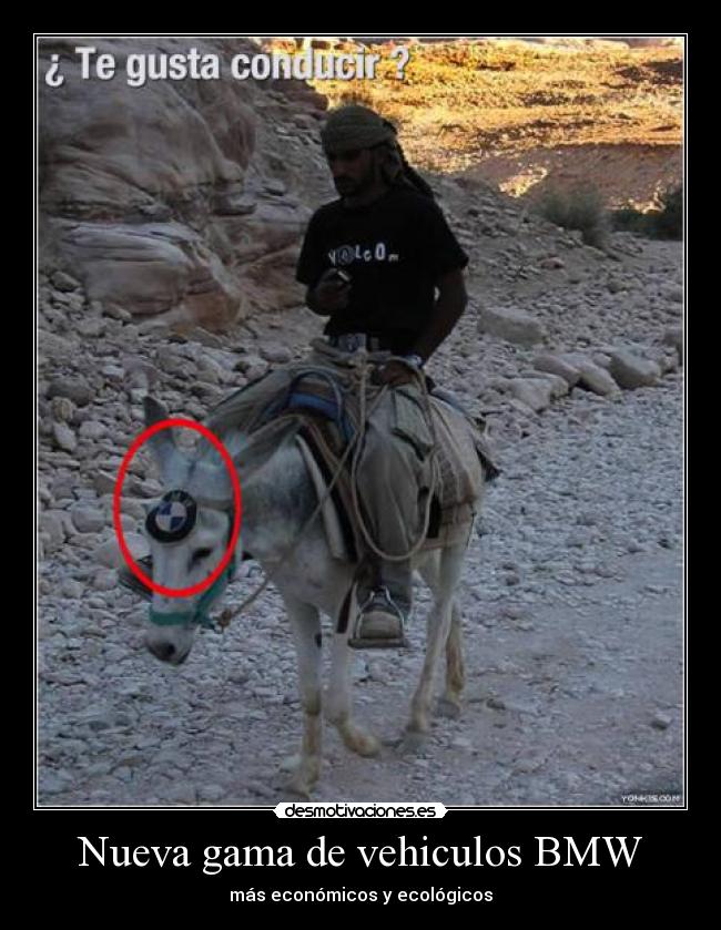 Nueva gama de vehiculos BMW - más económicos y ecológicos