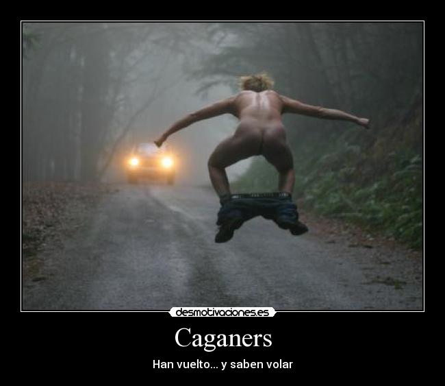 carteles caganers desmotivaciones