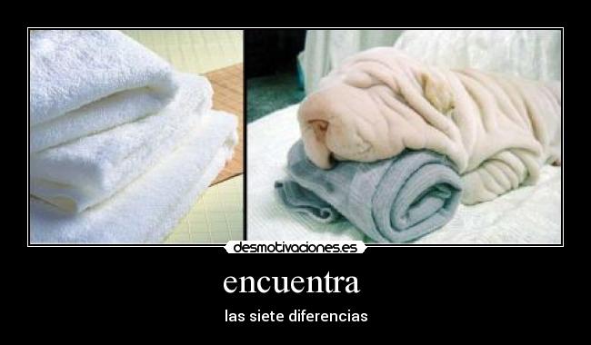 encuentra - las siete diferencias