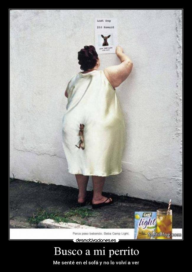 Busco a mi perrito -