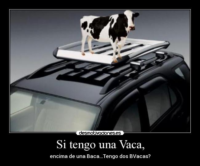 Si tengo una Vaca, - encima de una Baca...Tengo dos BVacas?