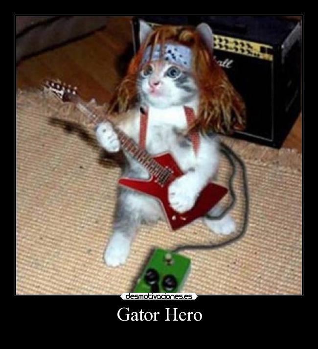 Gator Hero -