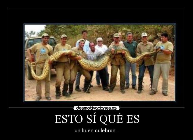 ESTO SÍ QUÉ ES - 