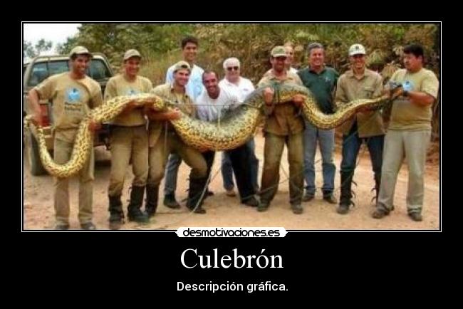 Culebrón -