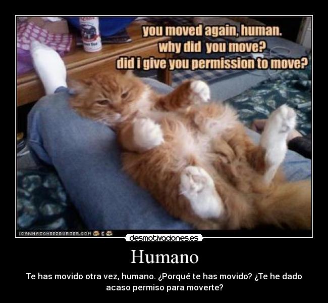 Humano - 