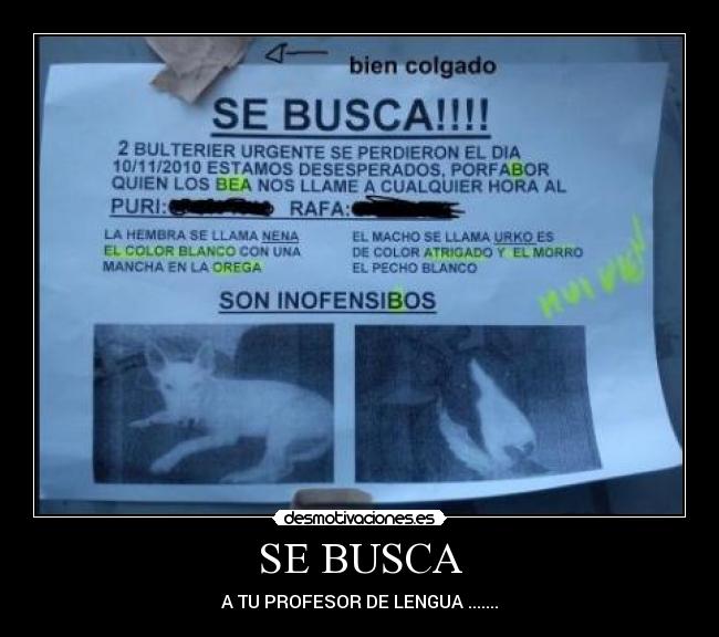 SE BUSCA -