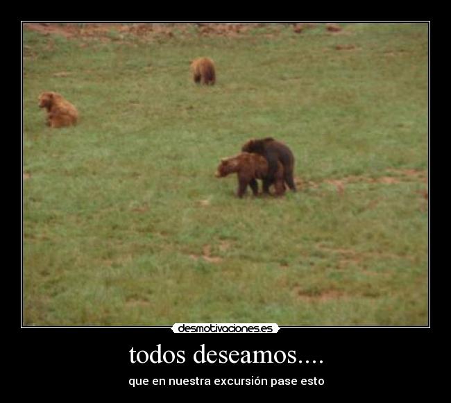 todos deseamos.... - que en nuestra excursión pase esto