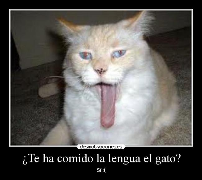 ¿Te ha comido la lengua el gato? -