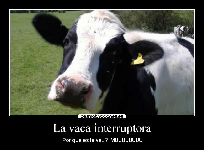 La vaca interruptora - Por que es la va...?  MUUUUUUUU