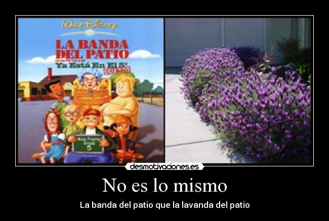 No es lo mismo - La banda del patio que la lavanda del patio