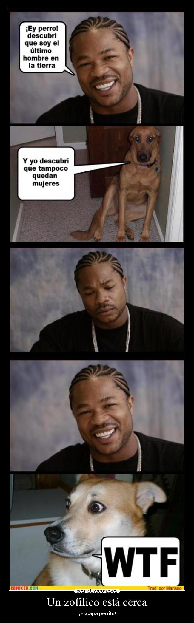 Un zofílico está cerca - ¡Escapa perrito!