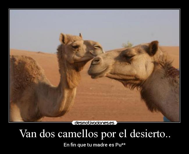 Van dos camellos por el desierto.. -