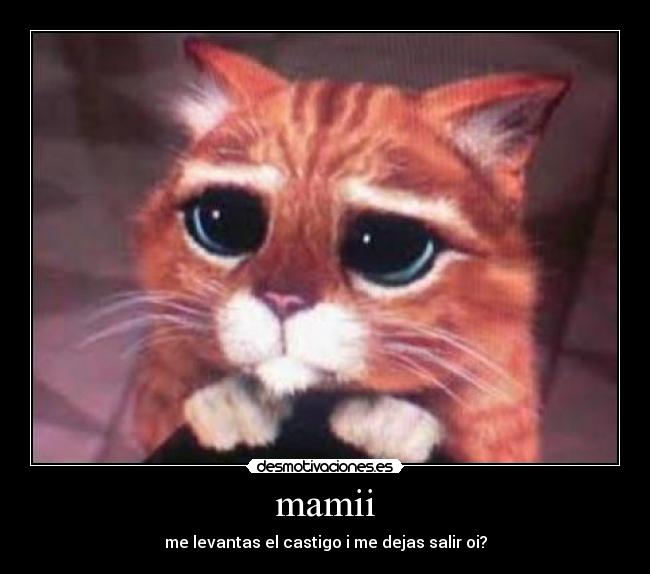 mamii -