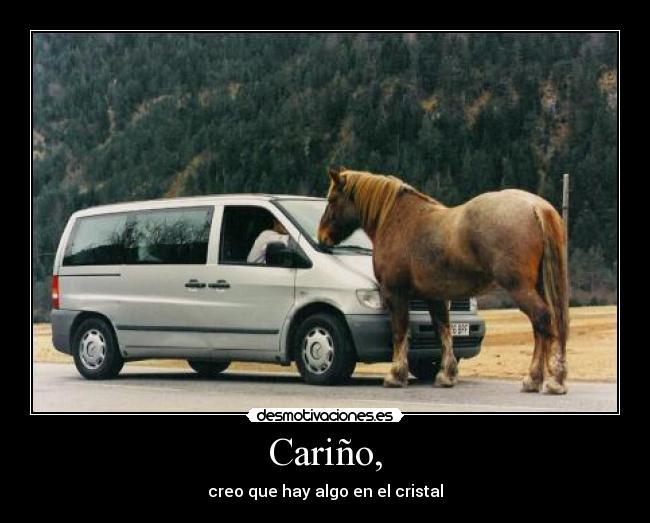 Cariño, - creo que hay algo en el cristal