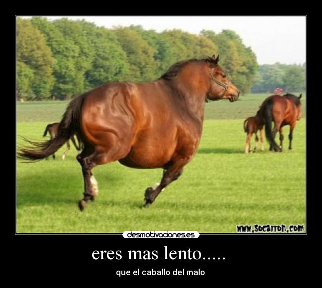 eres mas lento..... - que el caballo del malo