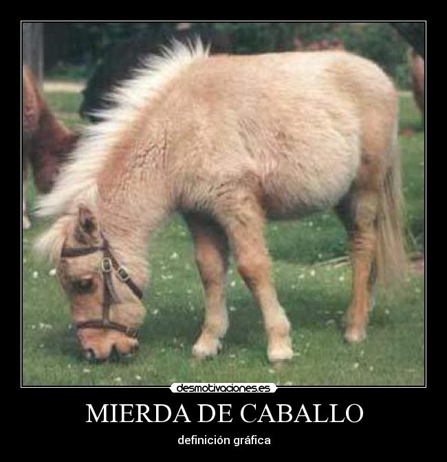 MIERDA DE CABALLO - definición gráfica