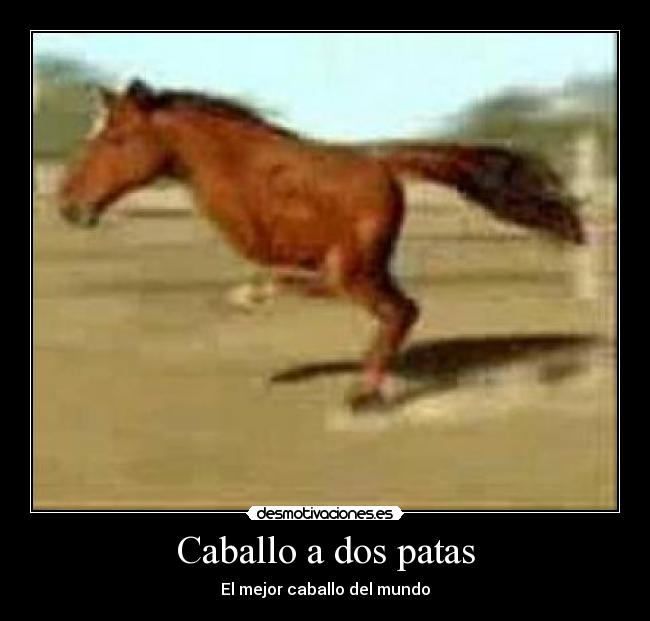 Caballo a dos patas -