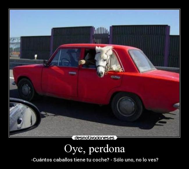 Oye, perdona - -Cuántos caballos tiene tu coche? - Sólo uno, no lo ves?