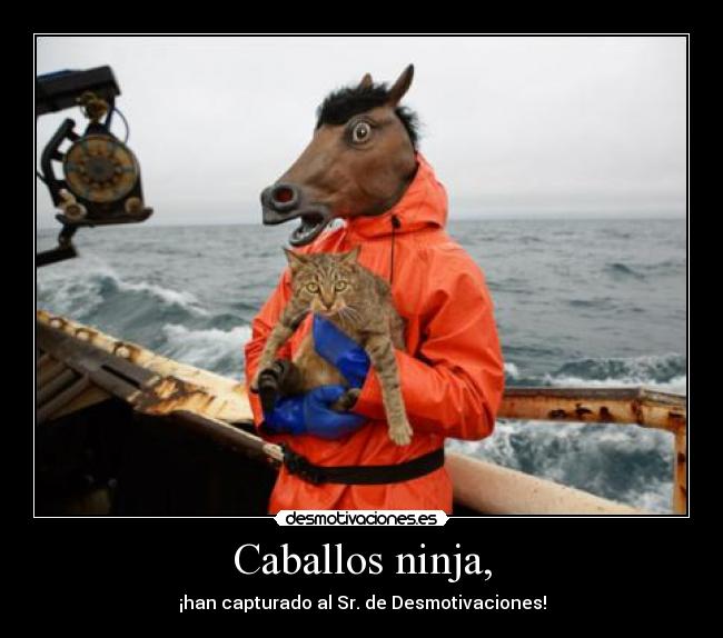 carteles caballo ninja sr desmotivaciones desmotivaciones