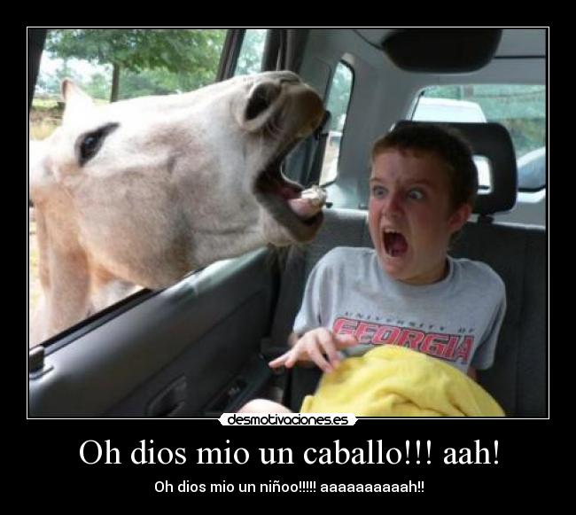 Oh dios mio un caballo!!! aah! - Oh dios mio un niñoo!!!!! aaaaaaaaaah!!