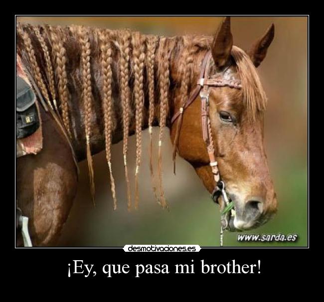 ¡Ey, que pasa mi brother! - 