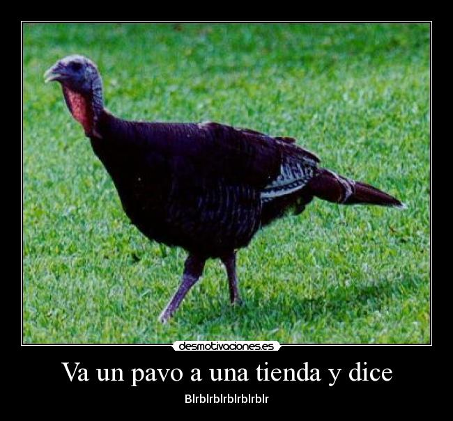 carteles pavo una tienda dice desmotivaciones