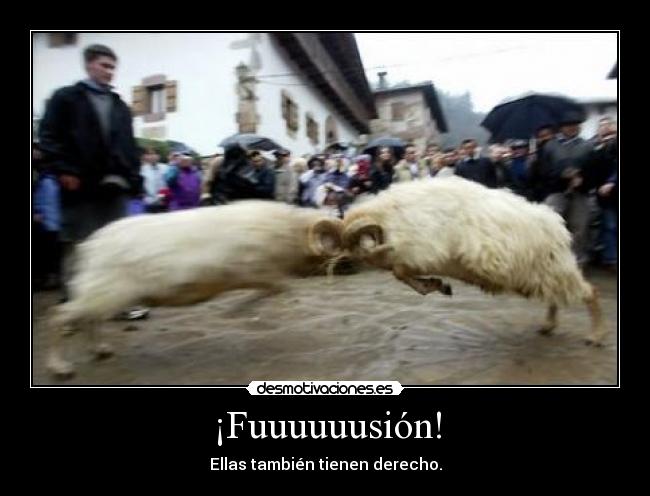 ¡Fuuuuuusión! -