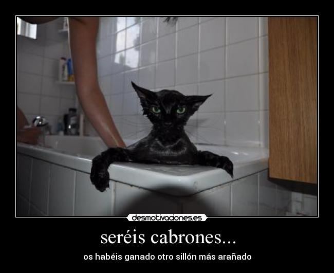 seréis cabrones... - 