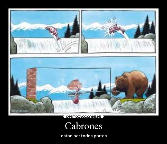Cabrones - 