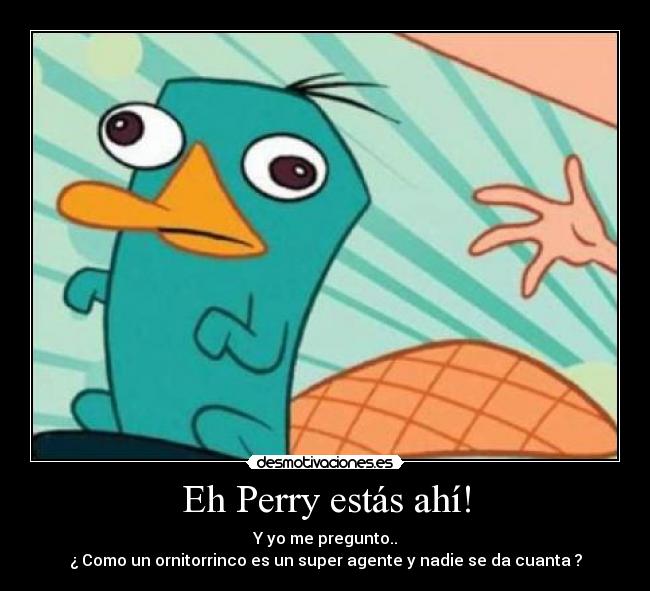 Eh Perry estás ahí! - 