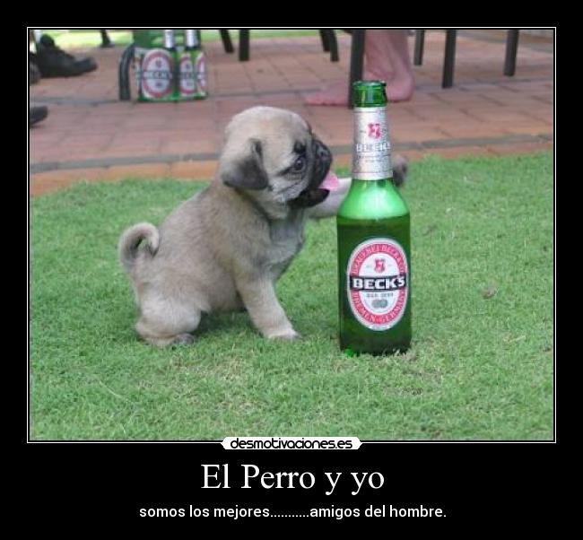 El Perro y yo -